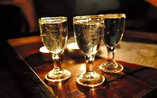 金樽黑酒 与讲究者共饮，一场流动的仪式