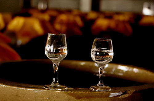 别错过！3款好喝不贵的平民粮食酒，遇到多买几箱